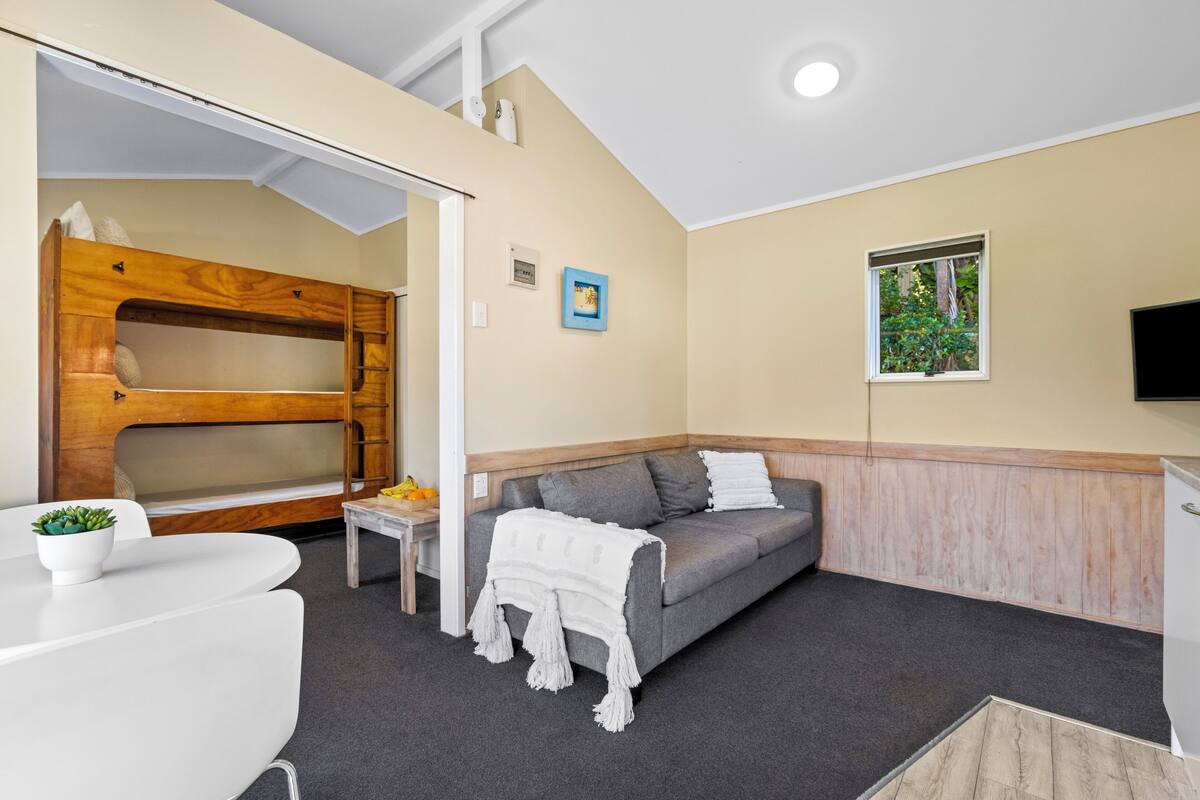 Een gezellige kamer met een stapelbed, een grijze bank, een klein tafeltje met een plant en een televisie aan de muur.