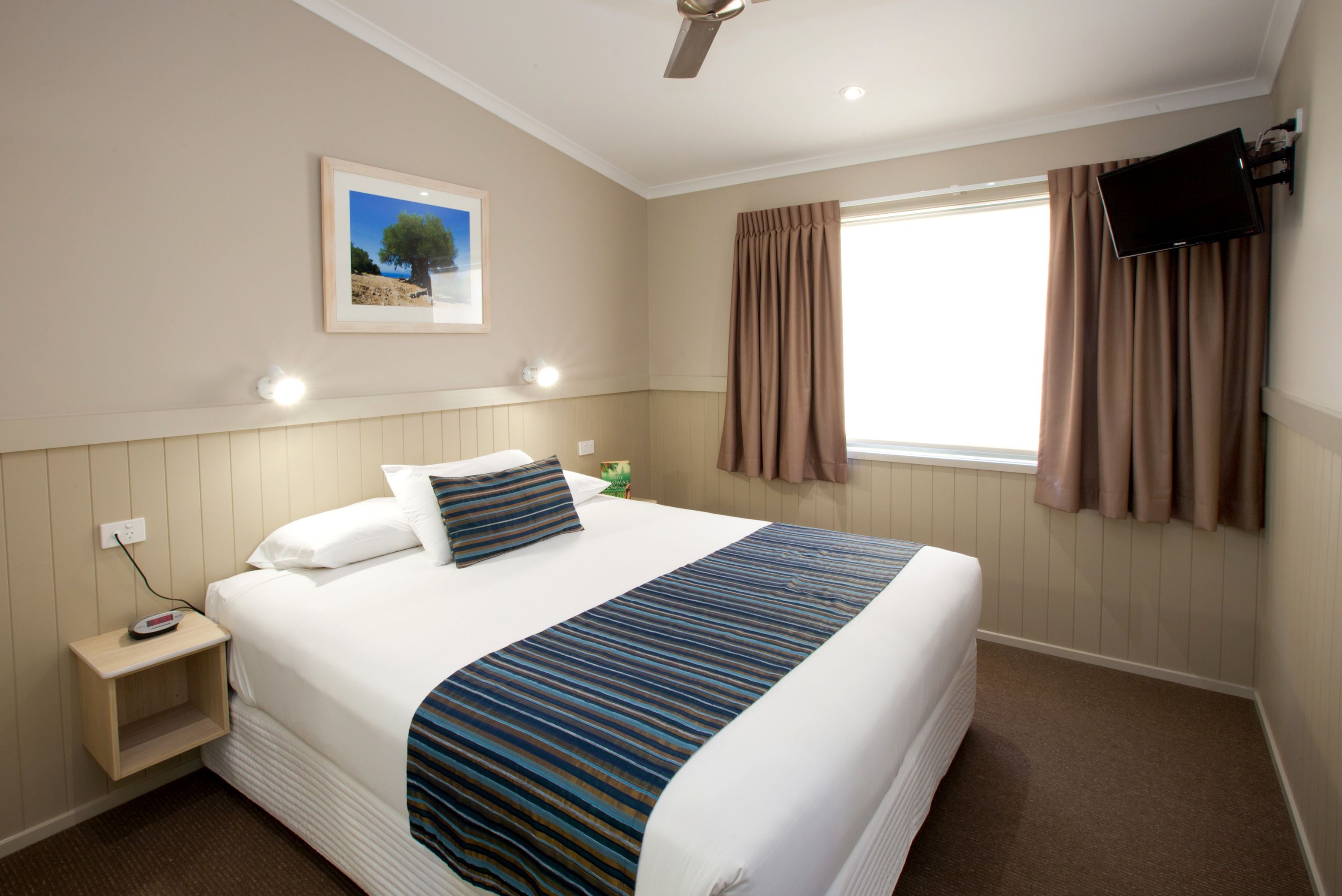 A neatly made bed with a striped blanket, a bedside table with a lamp, a wall-mounted TV, and a window with curtains.