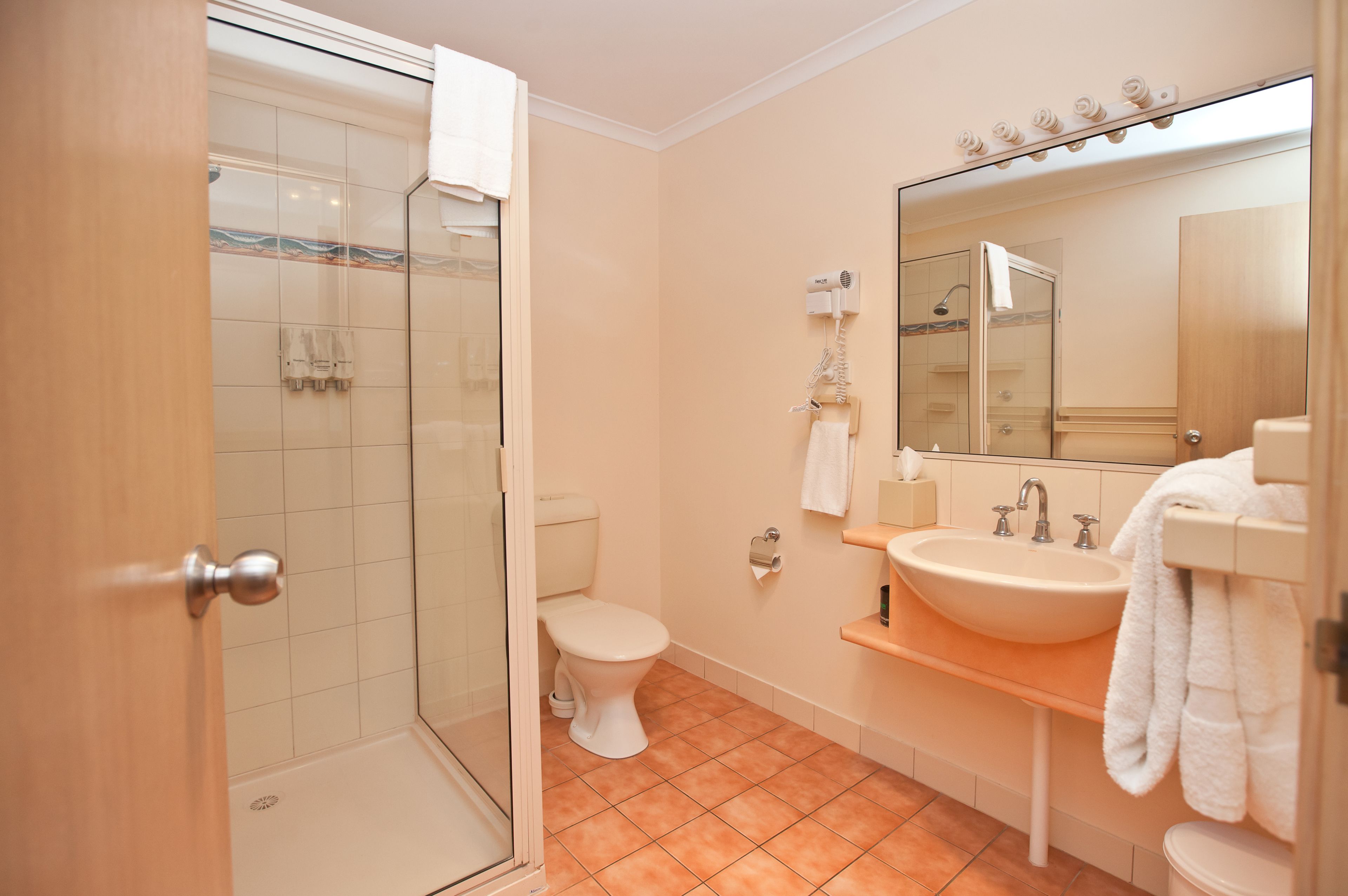A bathroom with a glass-enclosed shower, a toilet, a sink with a mirror, and a towel rack.