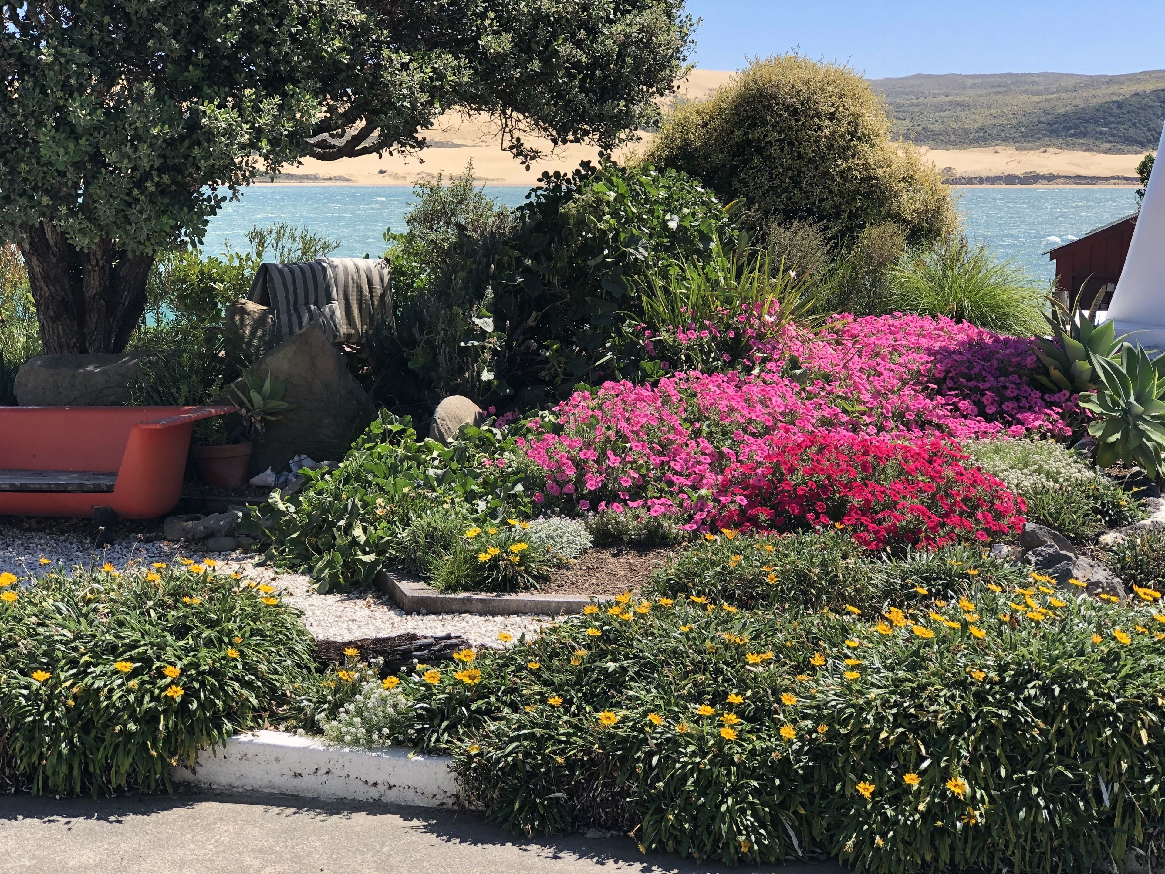 A garden with various plants and flowers, a bench, and a view of the beach and ocean.