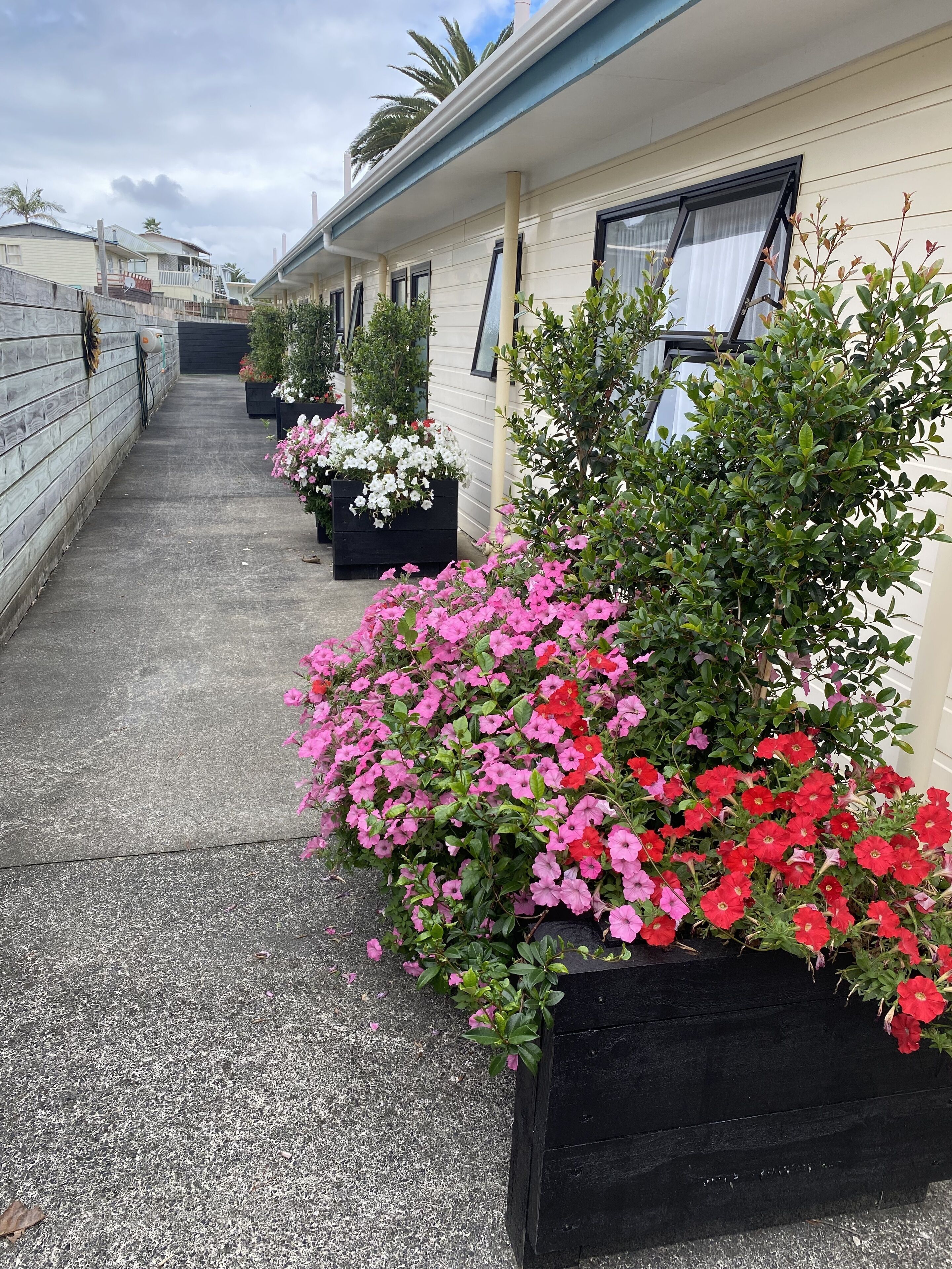 A row of mobile homes with flower planters along the walkway.