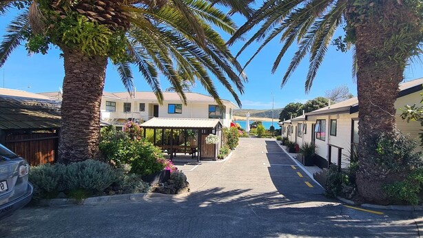 A street lined with palm trees and small buildings, possibly a vacation rental area. - Opononi Lighthouse Motel (Opononi)