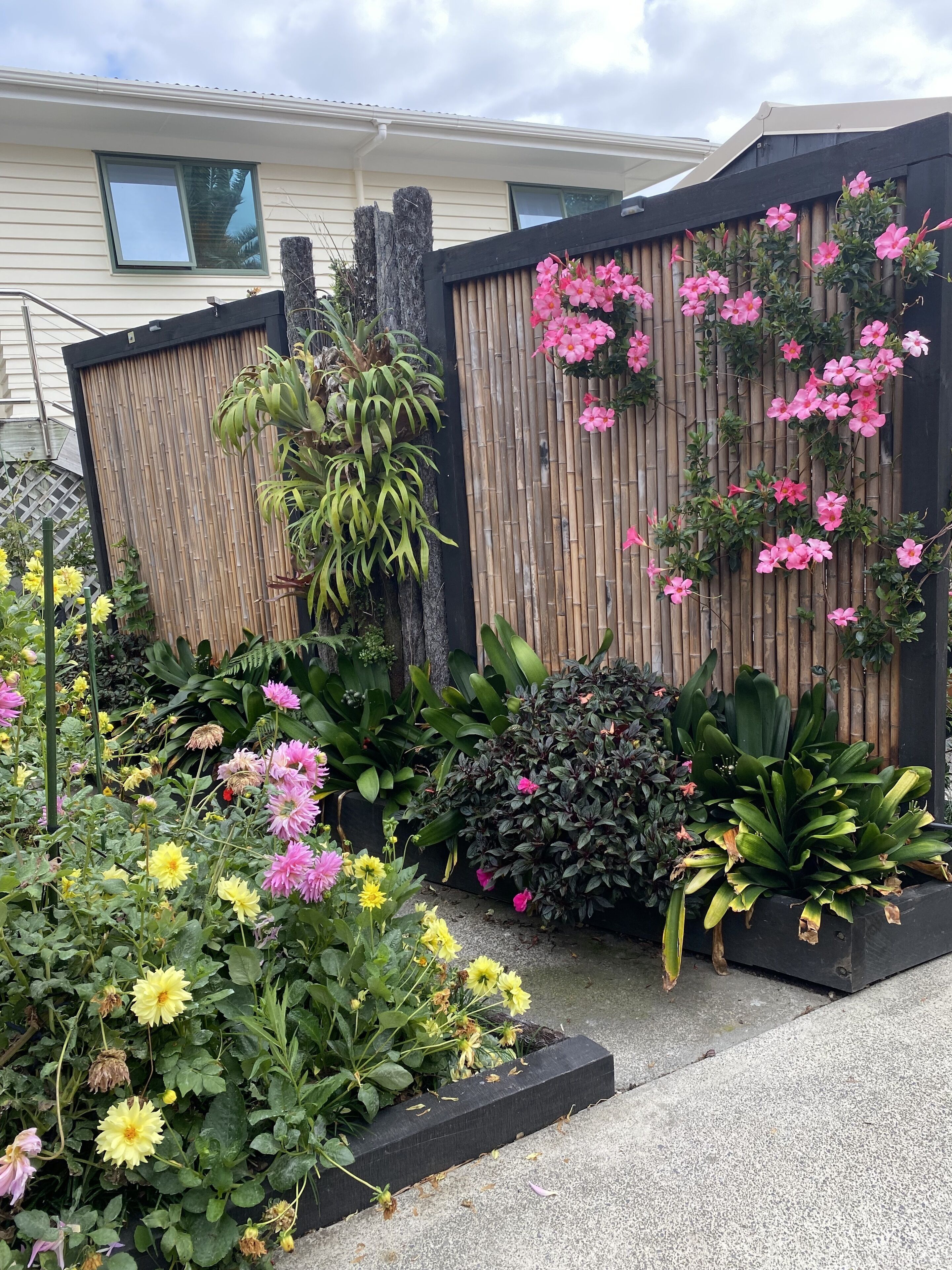 Un jardín con diversas plantas y flores, una valla de bambú y un edificio al fondo.