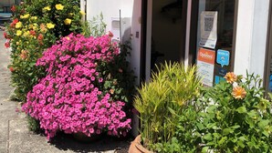 A reception area with a red awning, a variety of potted plants, and a sign indicating a 24-hour reception service. - Opononi Lighthouse Motel (Opononi)