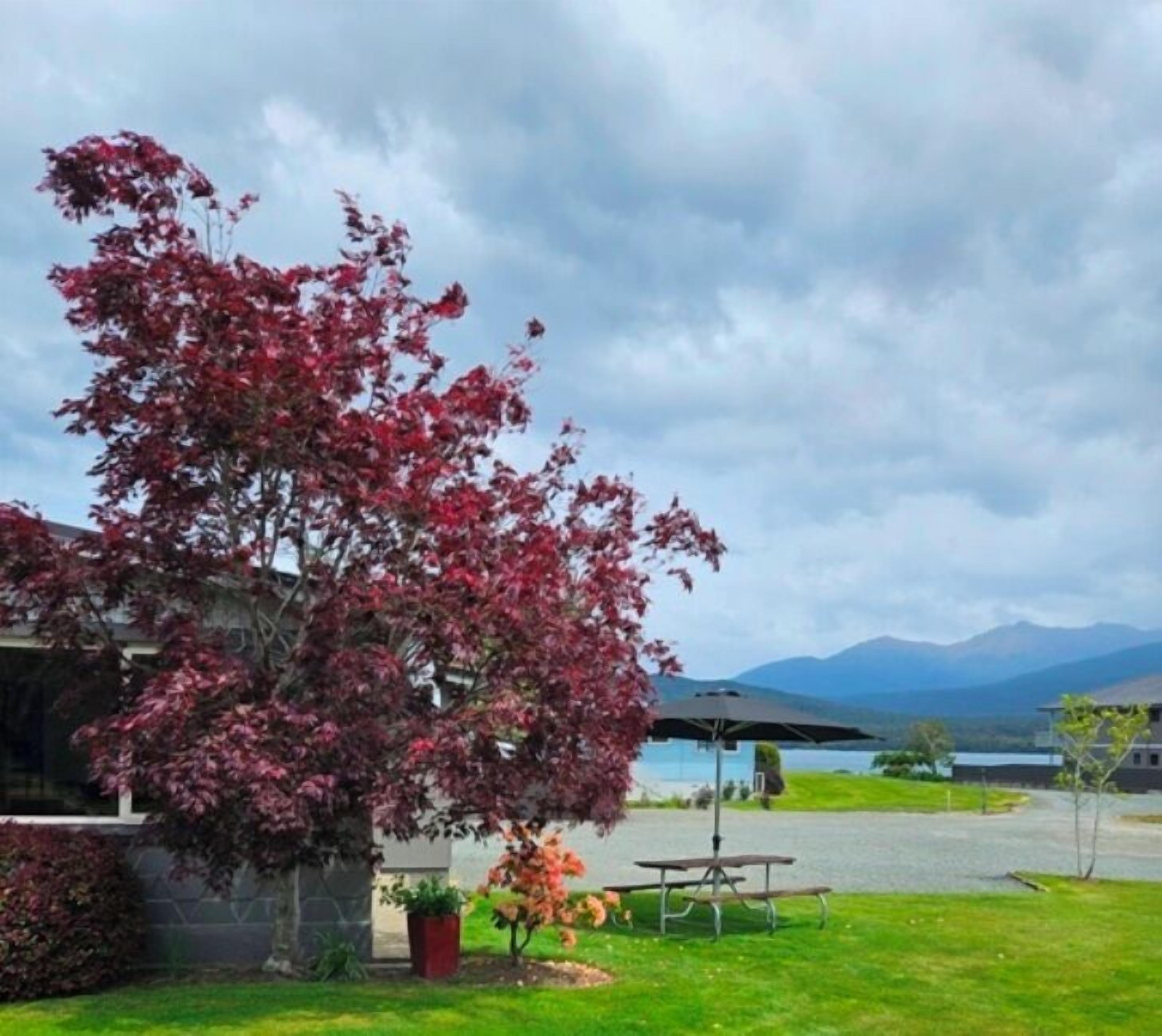 Family Suite, Mountain View | Free WiFi, bed sheets