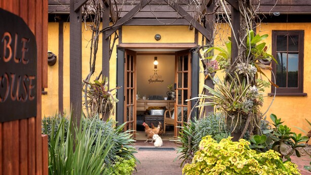 A rustic entrance with a wooden sign reading "THE TABLE Guesthouse," surrounded by lush greenery and a brick pathway. - The Table Guesthouse (Greta)