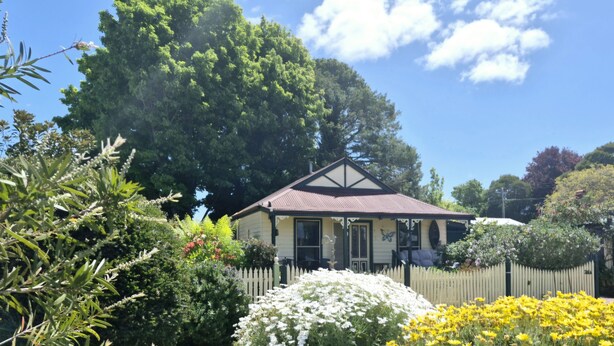 A house with a fenced yard, surrounded by various plants and trees.