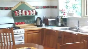 A kitchen with wooden cabinets, a stove, a sink, and a window with a view of greenery.