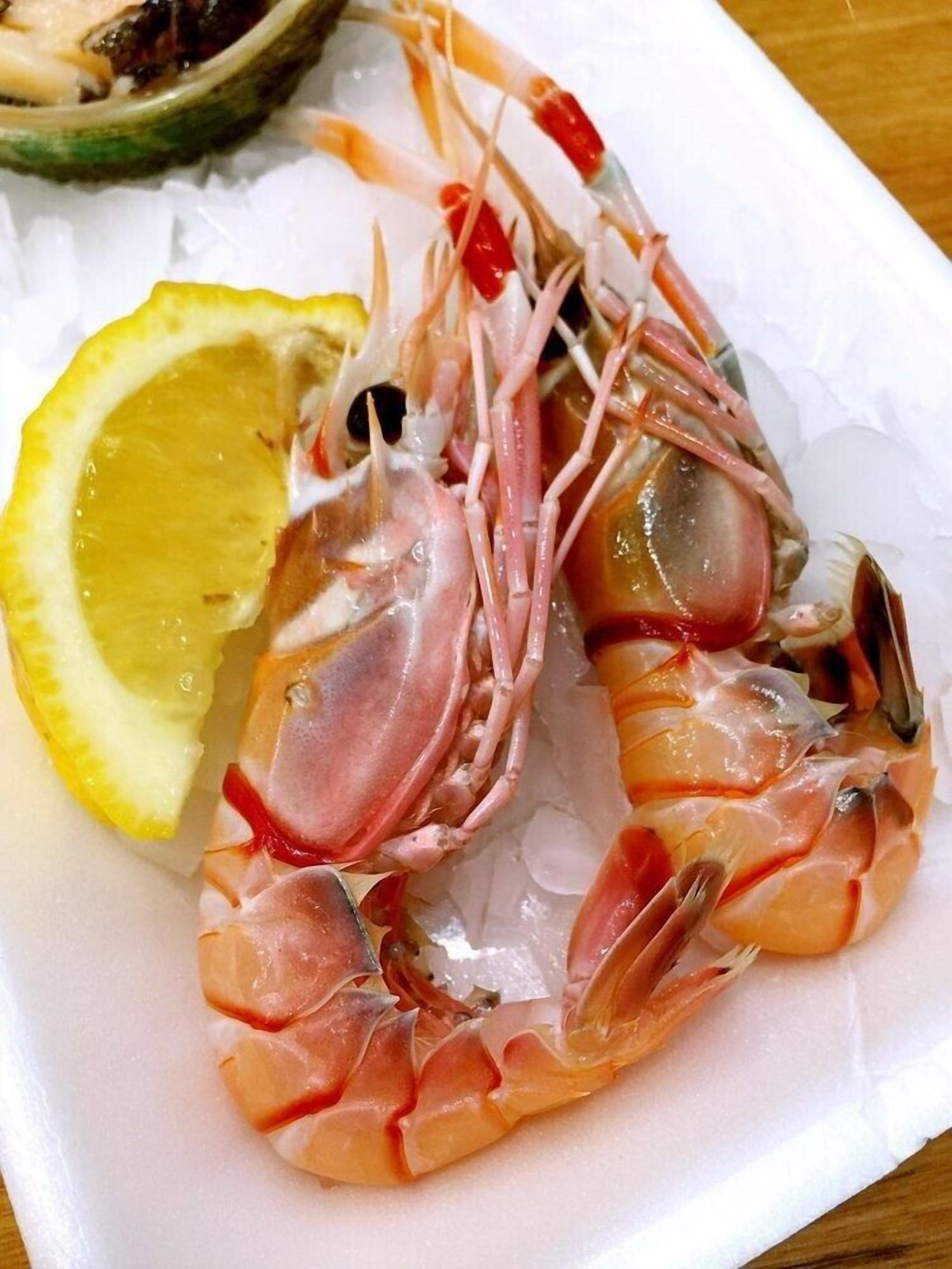A plate of cooked shrimp on ice with a lemon wedge.