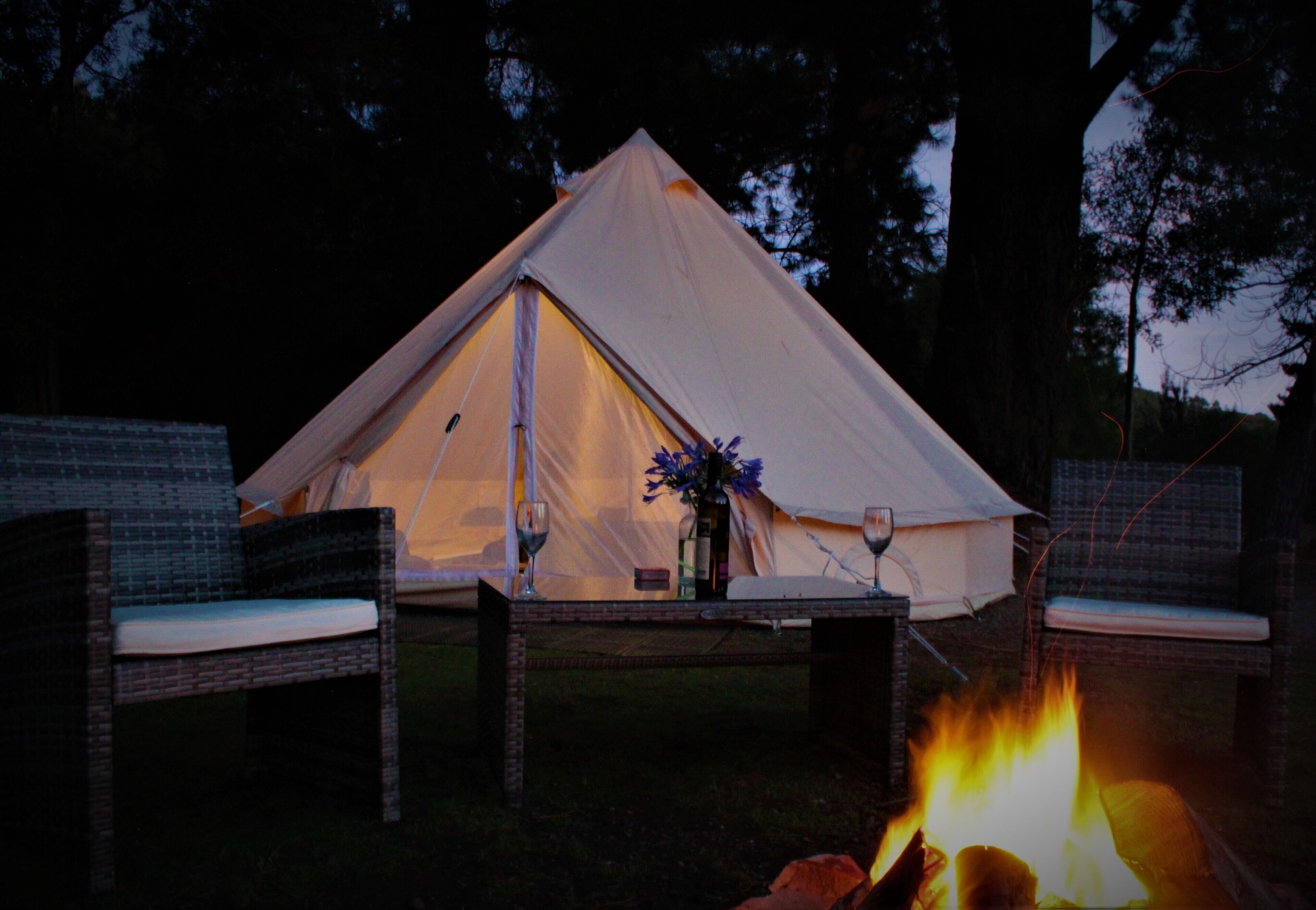 Zeehan Bush Camp — image 24