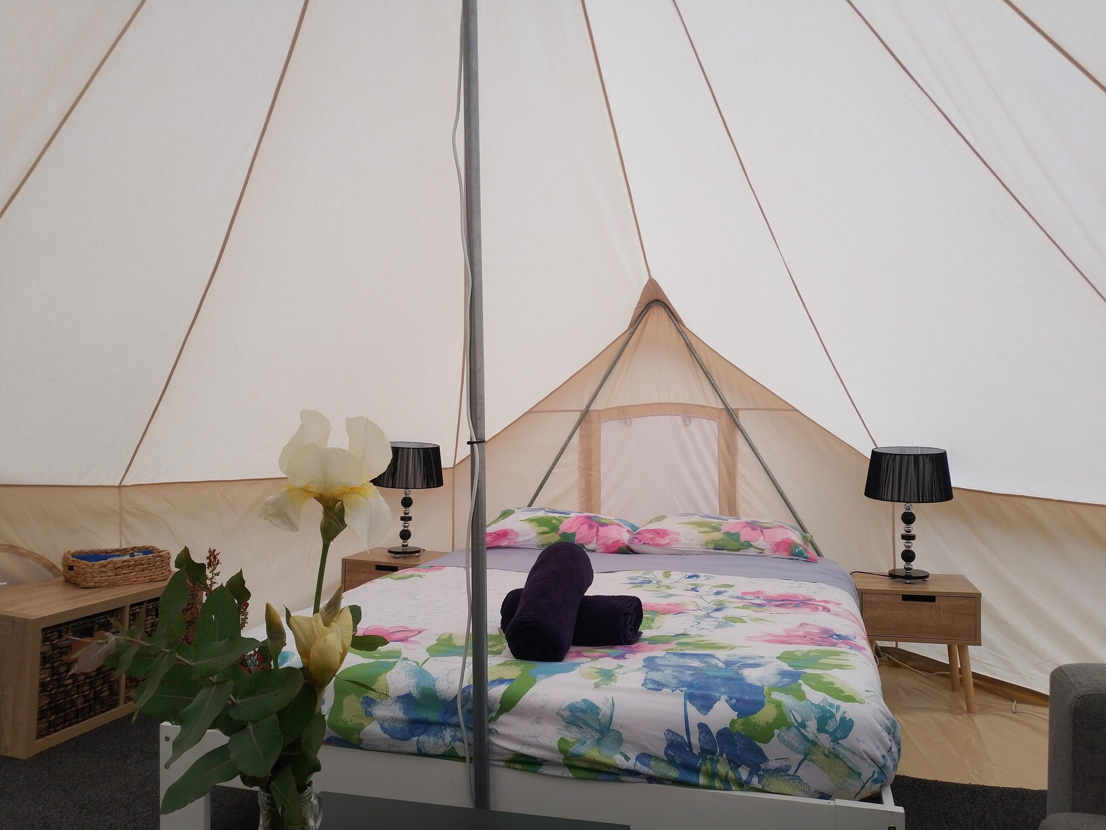 Zeehan Bush Camp — image 4