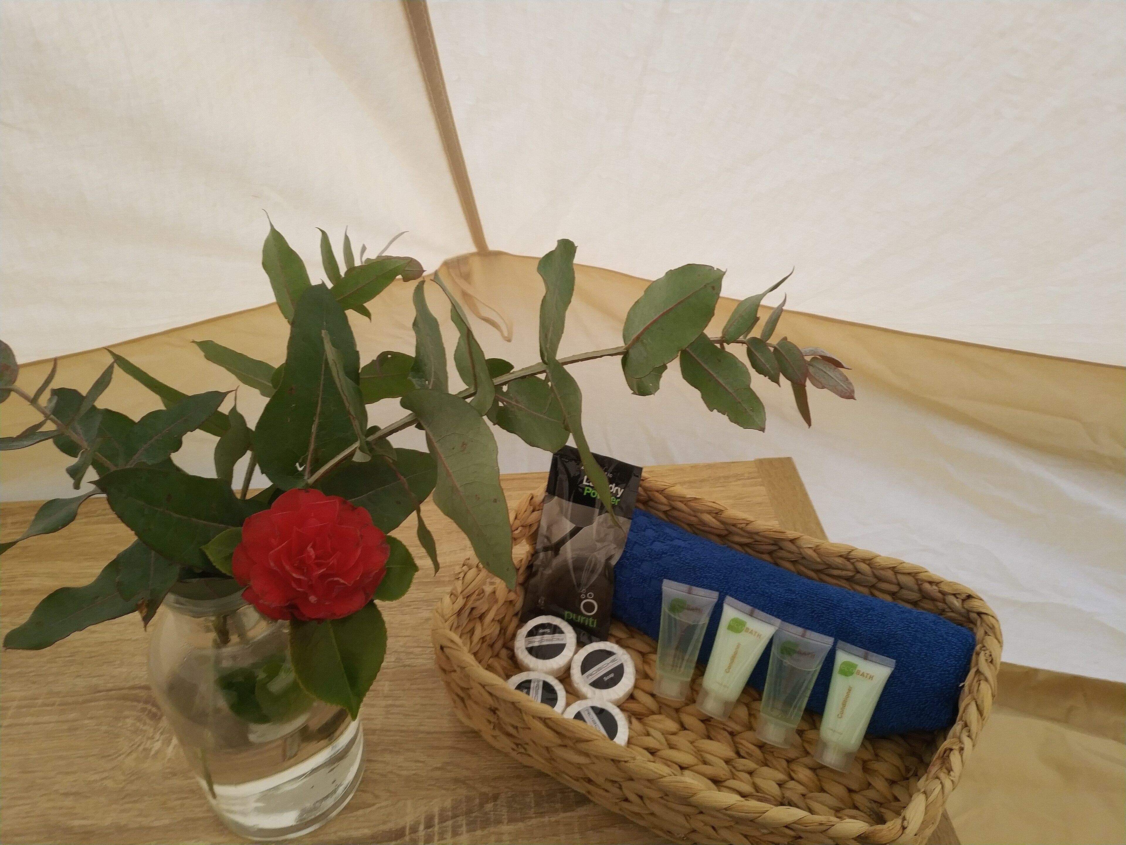 Zeehan Bush Camp — image 11