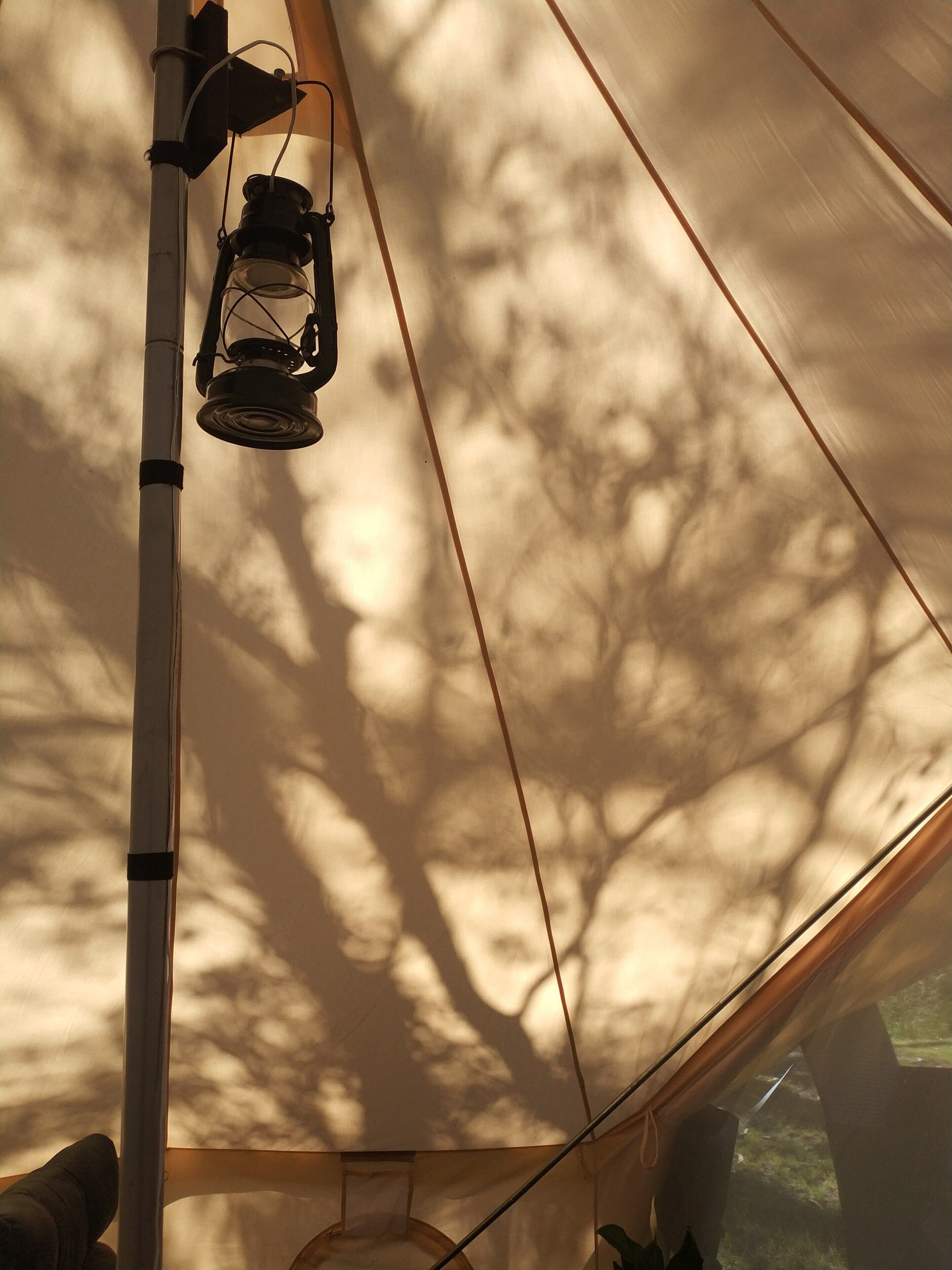 Zeehan Bush Camp — image 13