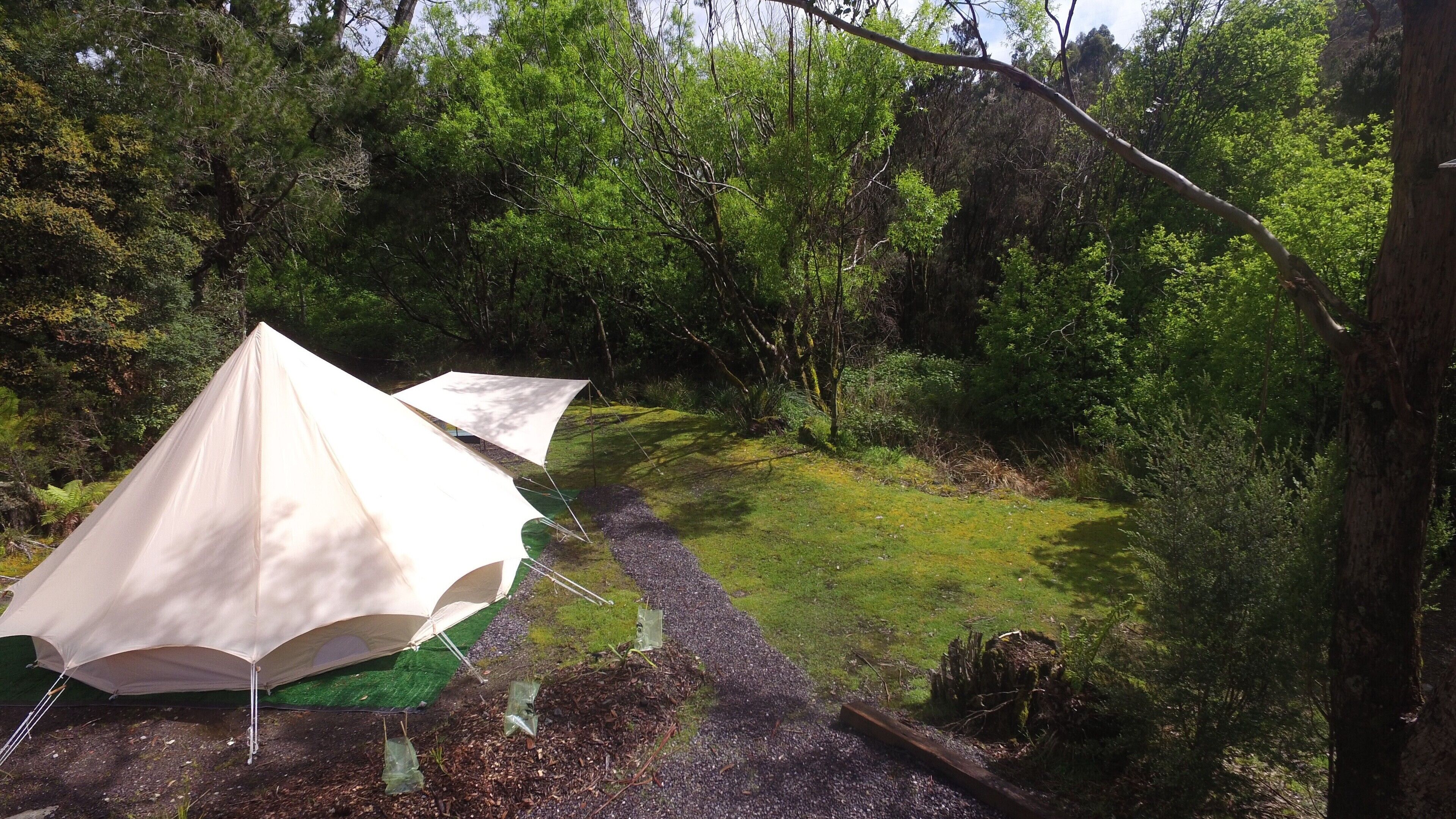 Zeehan Bush Camp — image 17