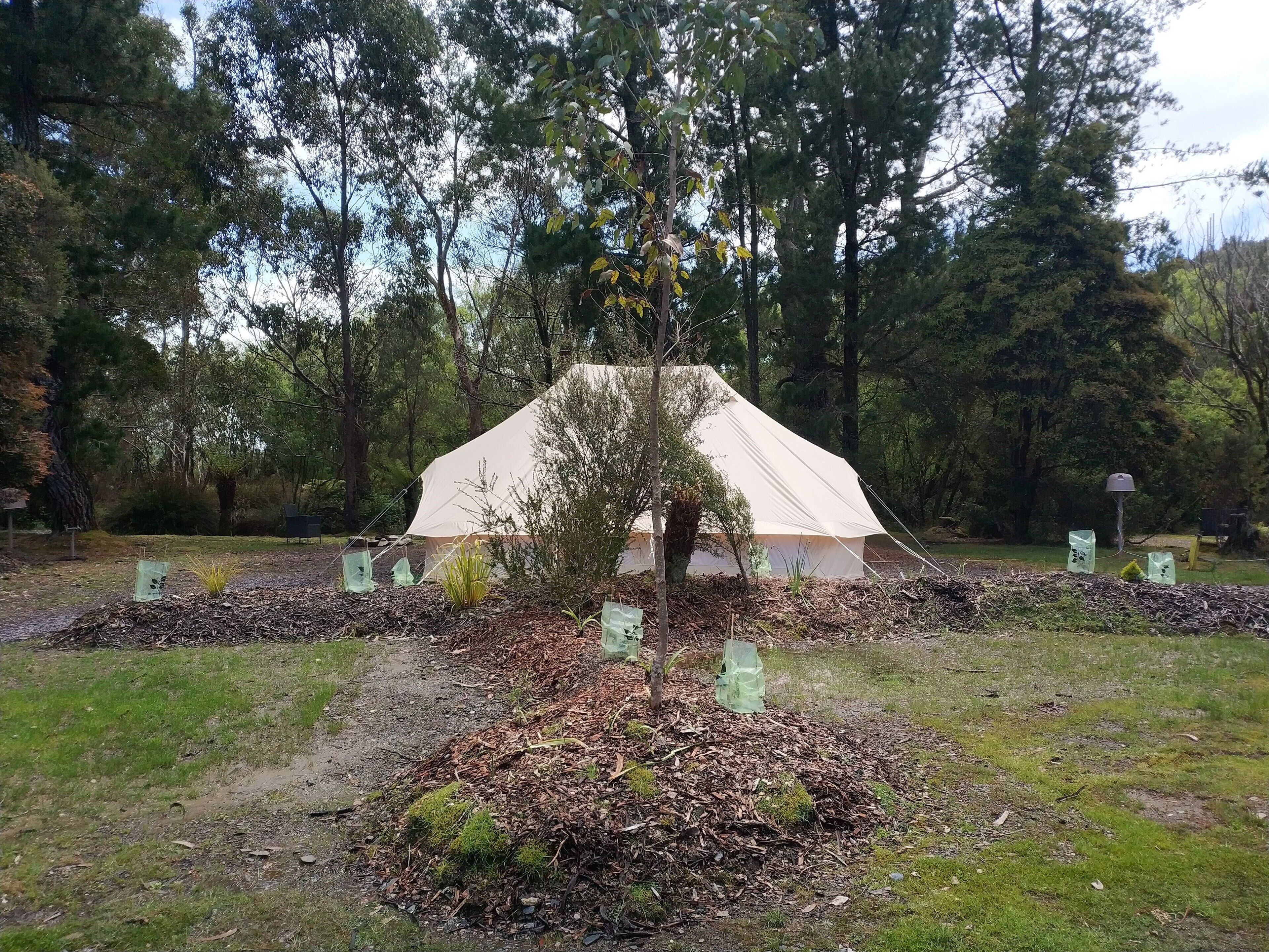 Zeehan Bush Camp — image 27