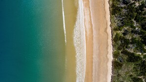 Vista aérea de una playa con agua turquesa cristalina, una orilla arenosa y vegetación verde exuberante a lo largo de la costa.
