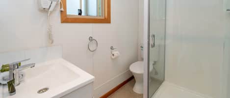A bathroom with a white sink, a mirror, a toilet, and a glass-enclosed shower.
