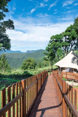 Property grounds - Clouds on Beechmont (Beechmont)