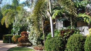 Ein gepflegter Garten mit verschiedenen tropischen Pflanzen und einem ordentlich gestutzten Rasen.