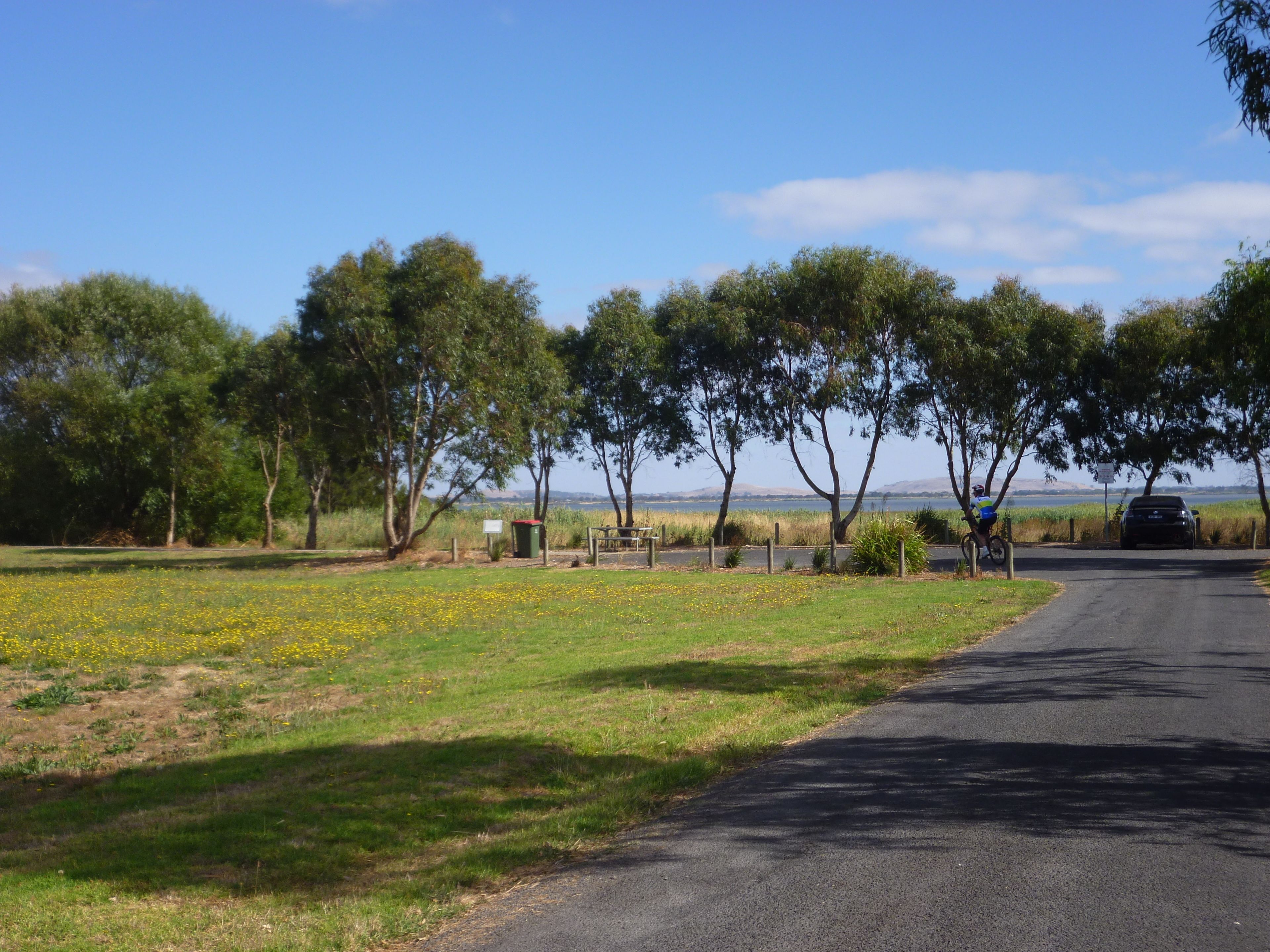 A rural road with trees and a field of yellow flowers.