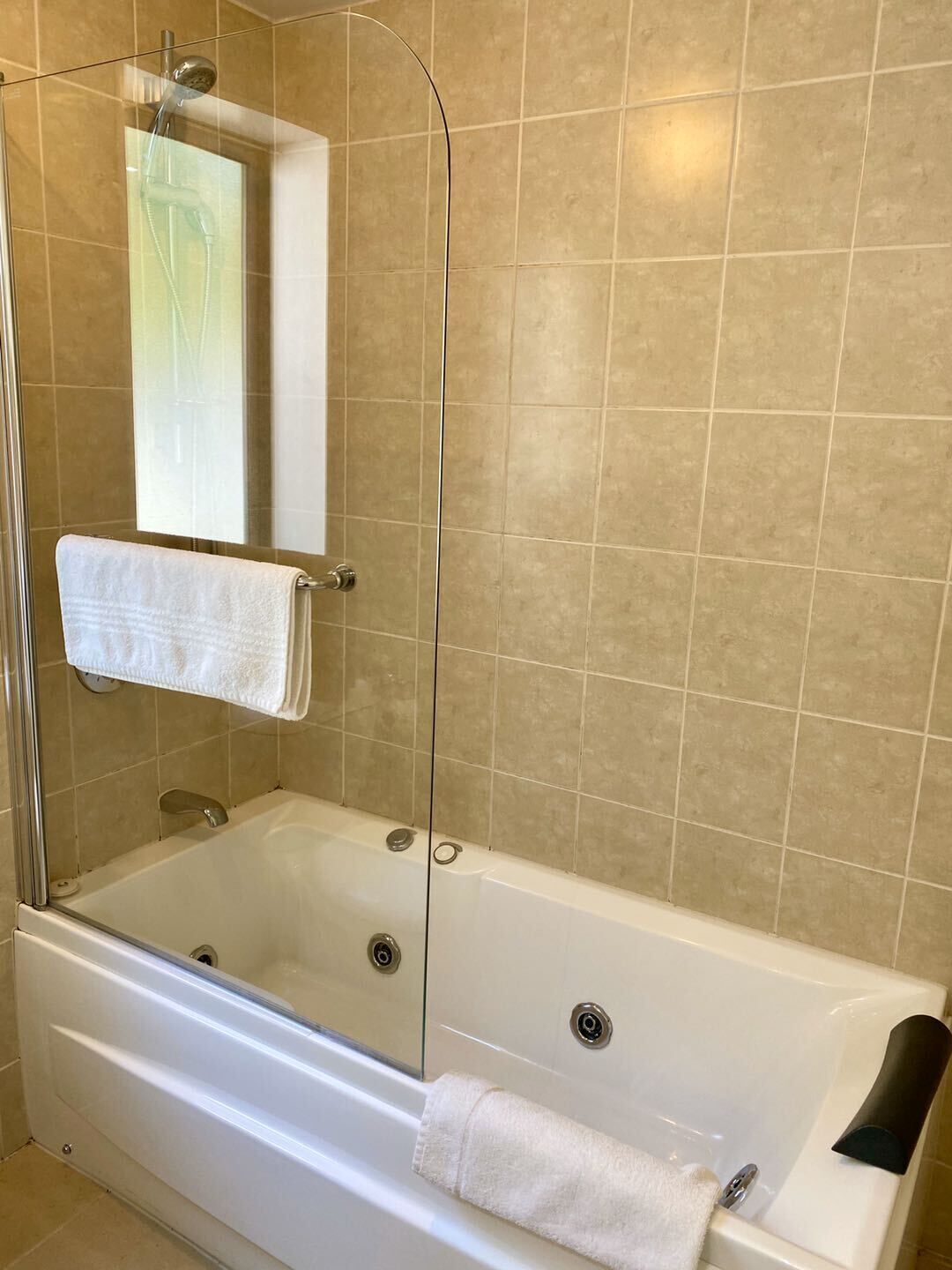 combined shower/bathtub, free toiletries, hair dryer, towels