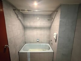 Bañera con ducha, cabezal de ducha tipo lluvia
