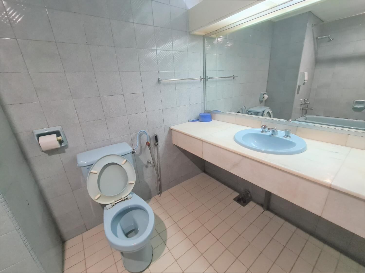 Ein Badezimmer mit Toilette, Waschbecken und Spiegel.