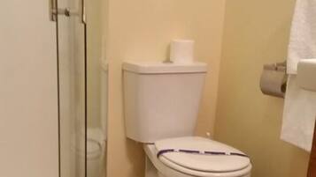 A bathroom with a toilet, a glass shower enclosure, and a wooden floor.