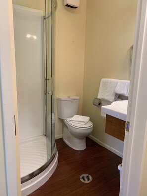 A bathroom with a glass shower enclosure, a toilet, and a sink with a towel rack.