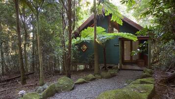 A rustic cabin surrounded by a forest with a gravel path leading to it.