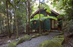 Front of property - Springbrook Lyrebird Retreat (Springbrook)