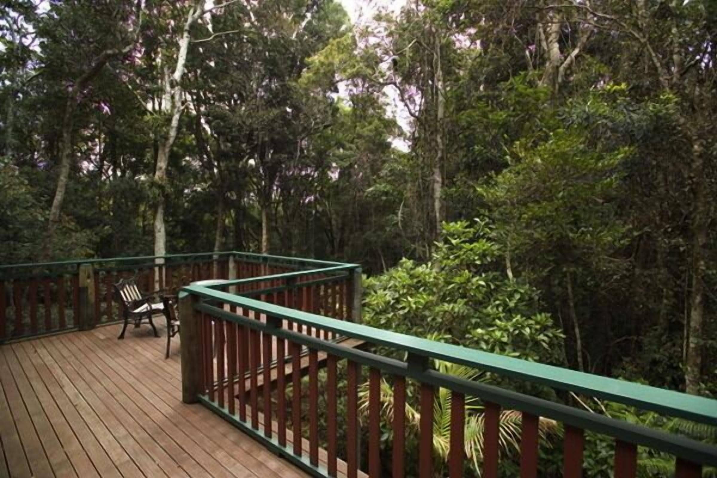 A wooden deck with a green railing, surrounded by dense forest.