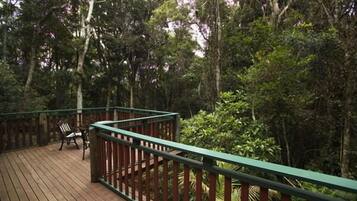 A wooden deck with a green railing, surrounded by dense forest.