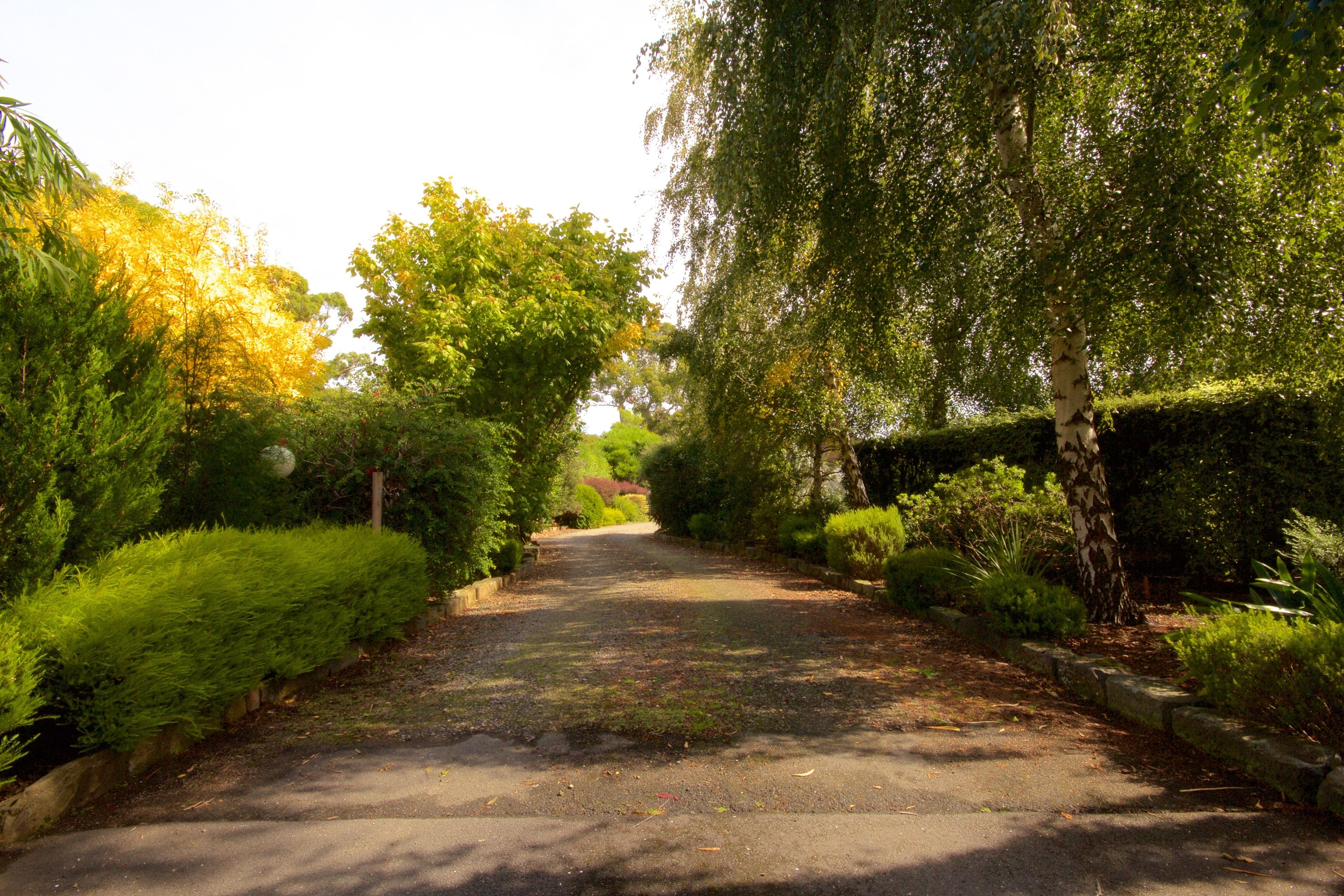 Abs by the Bay — image 22