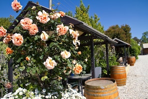A garden with blooming roses, a pergola, and wooden barrels. - Beechworth on Bridge (Beechworth)
