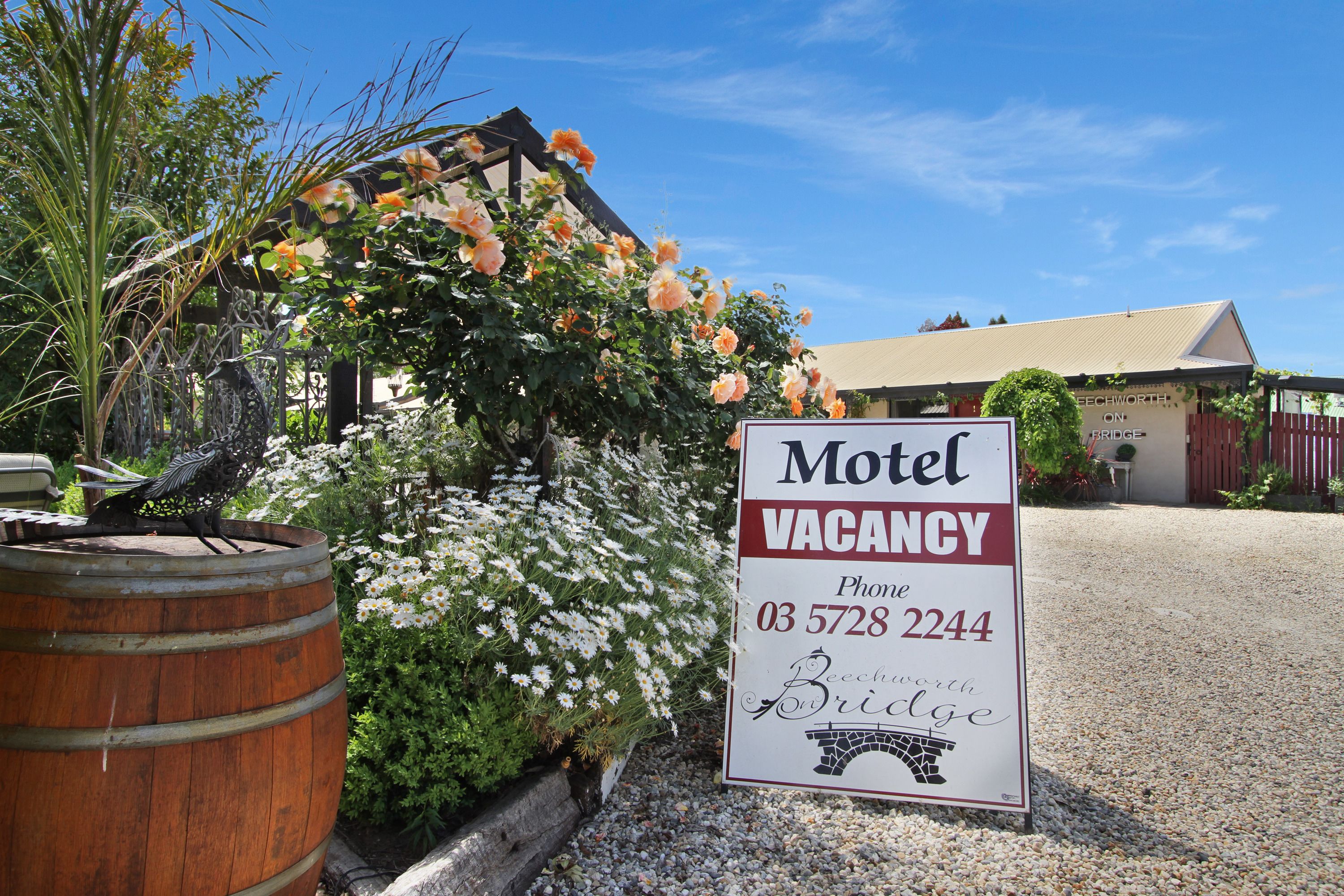 A motel sign with a vacancy notice, a phone number, and the name 'Beechworth on Bridge'.