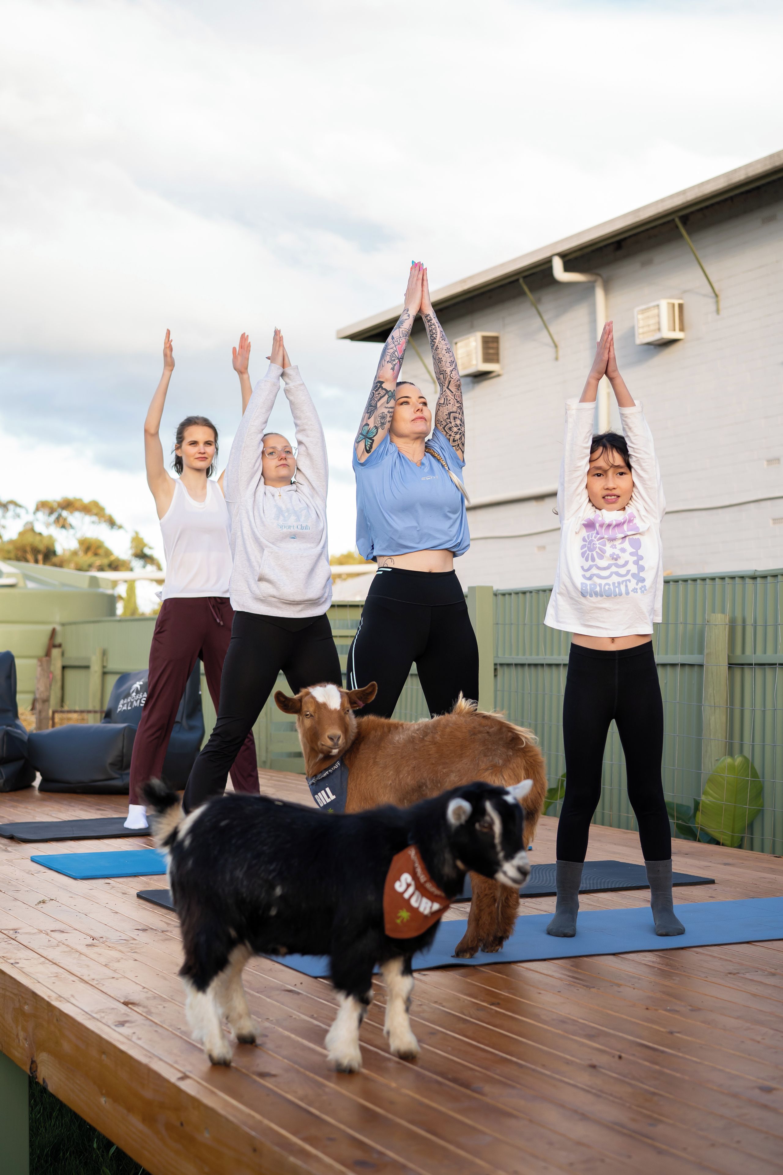 A group of people performing yoga on outdoor mats with a goat and a dog nearby.