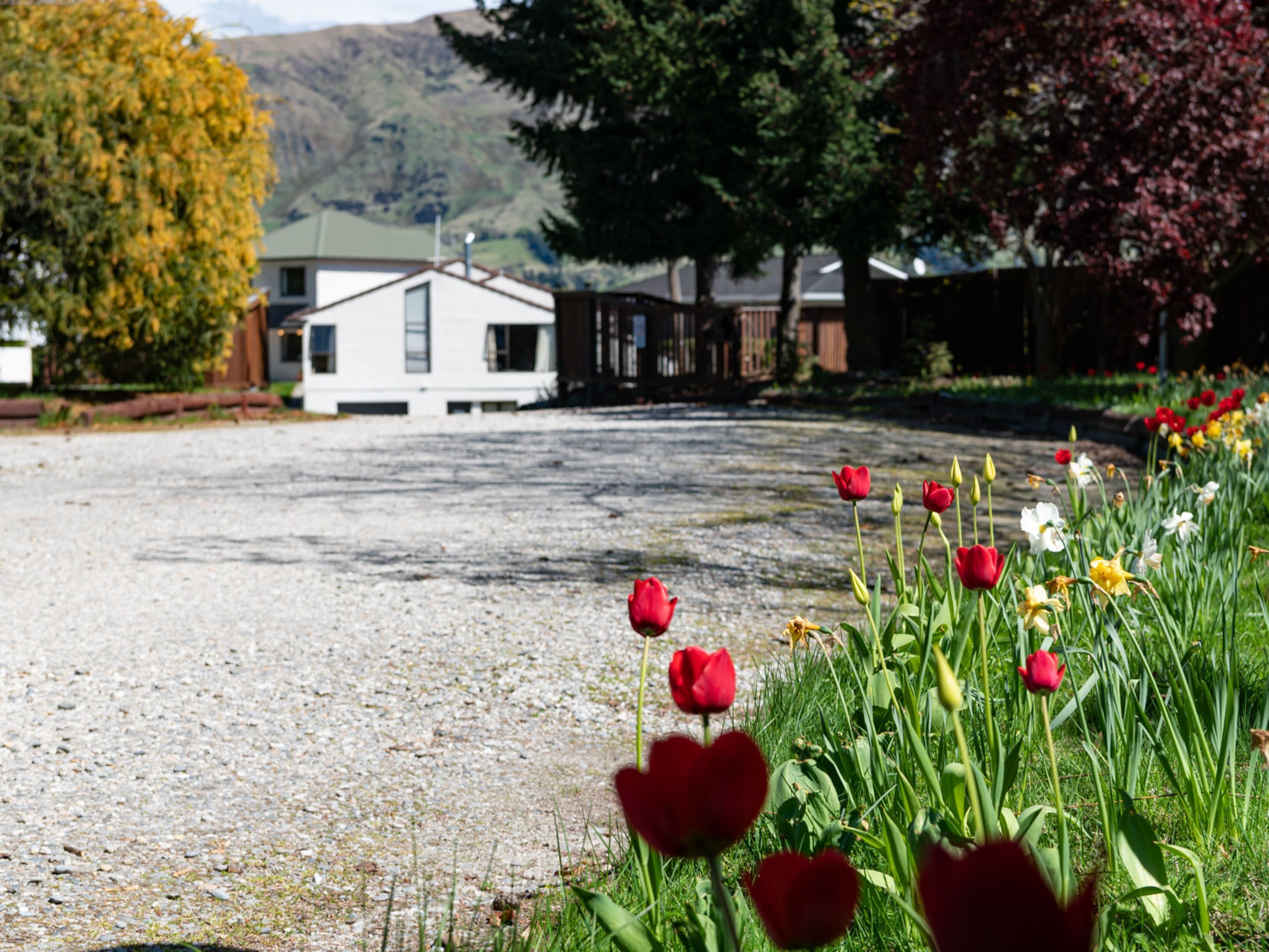 A gravel driveway leading to a white building with a green roof, surrounded by a variety of flowers and trees.