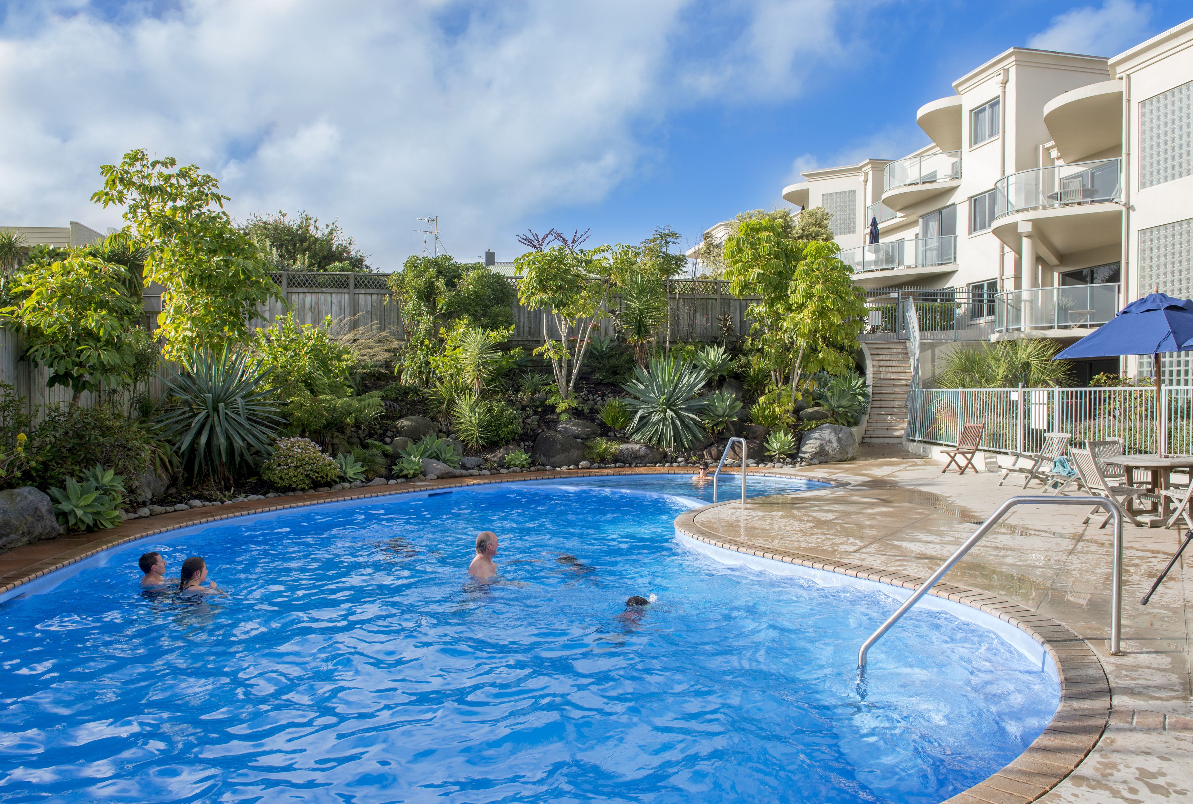 A swimming pool surrounded by lush greenery and a wooden fence.
