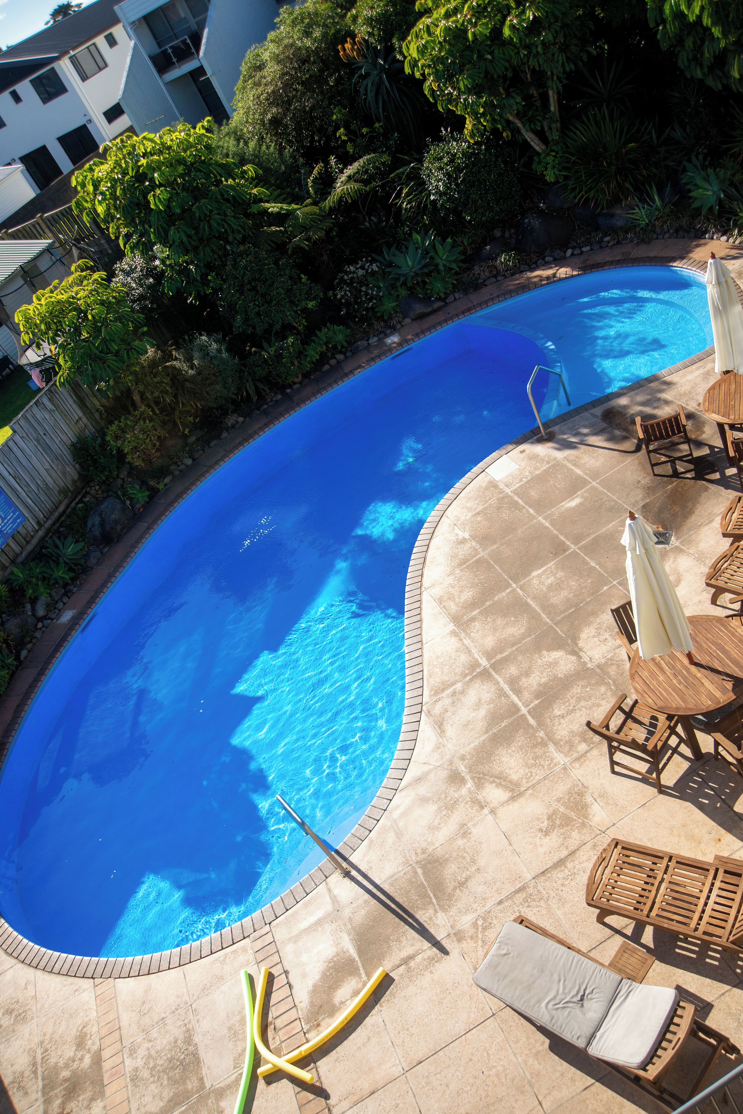 A curved swimming pool with a tiled deck, surrounded by greenery and a wooden fence.
