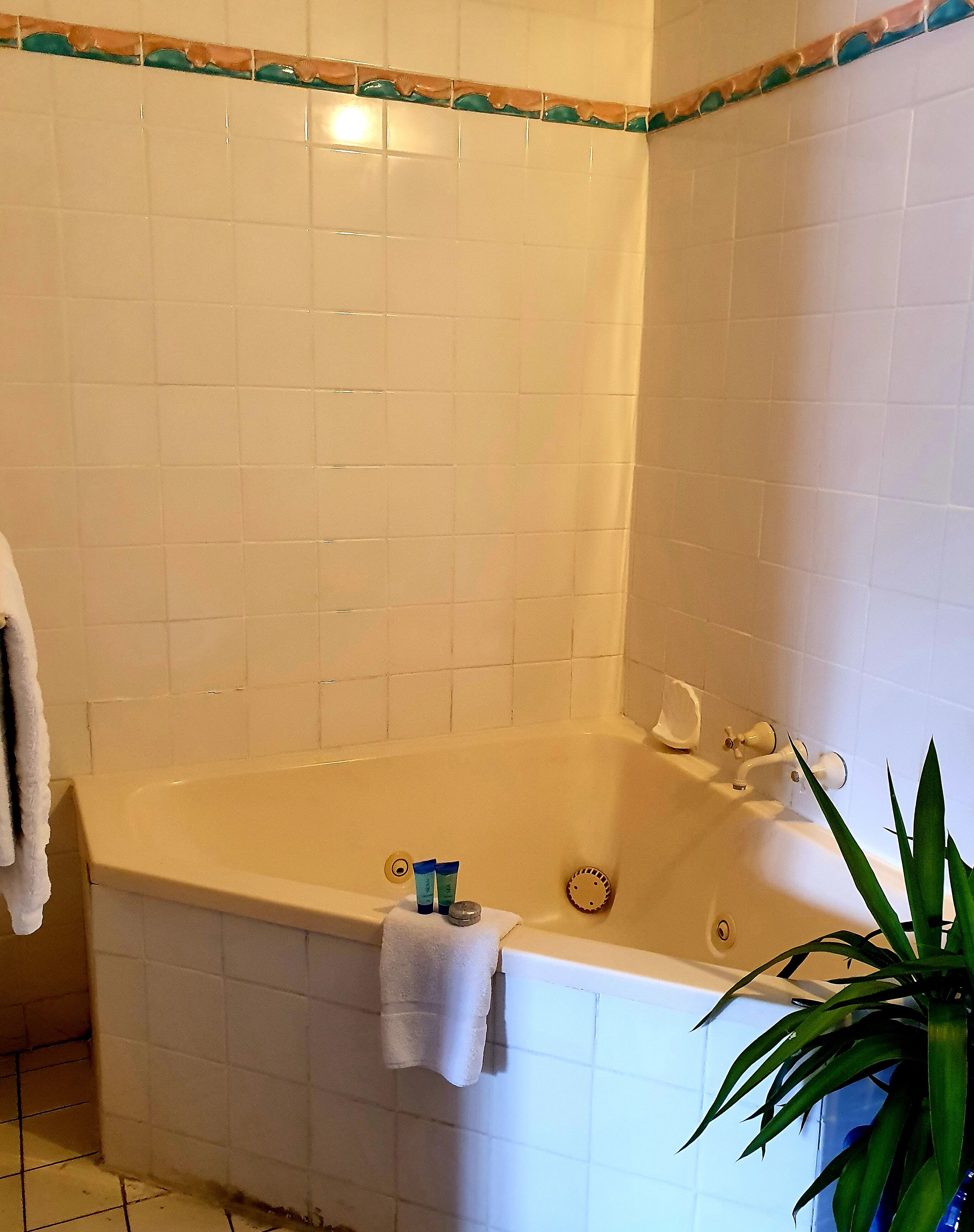 Photo - City Lights Motel