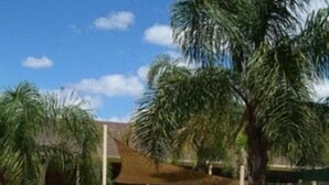 A swimming pool with a brick edge, surrounded by palm trees and a grassy area. - Tocumwal Golf Resort (Tocumwal)