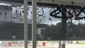 A window with a view of a parking lot and greenery outside.