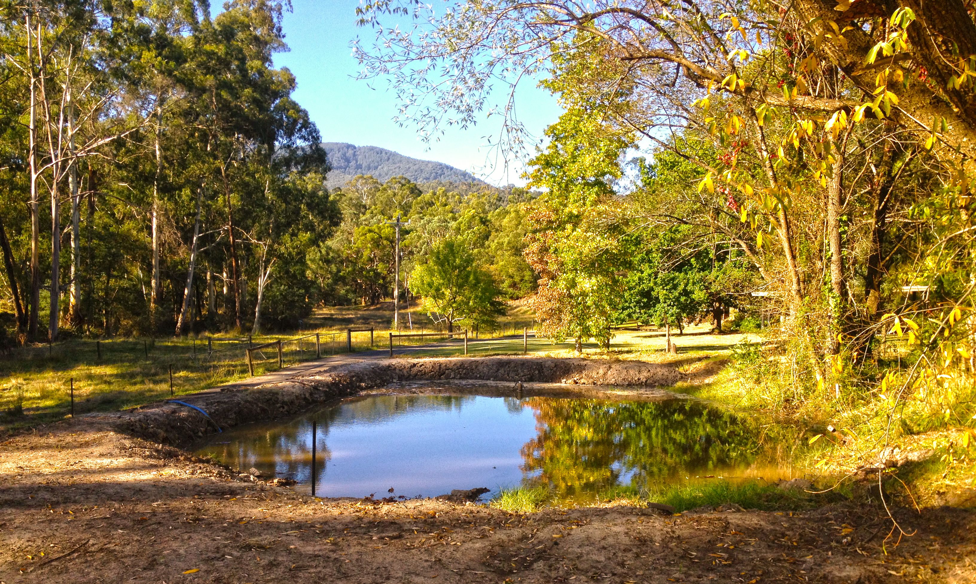 A natural landscape with a pond, trees, and a fence.