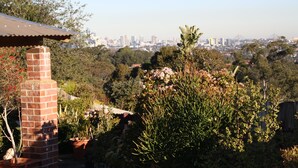 Um jardim com chaminé de tijolos, diversas plantas e paisagem urbana ao fundo.