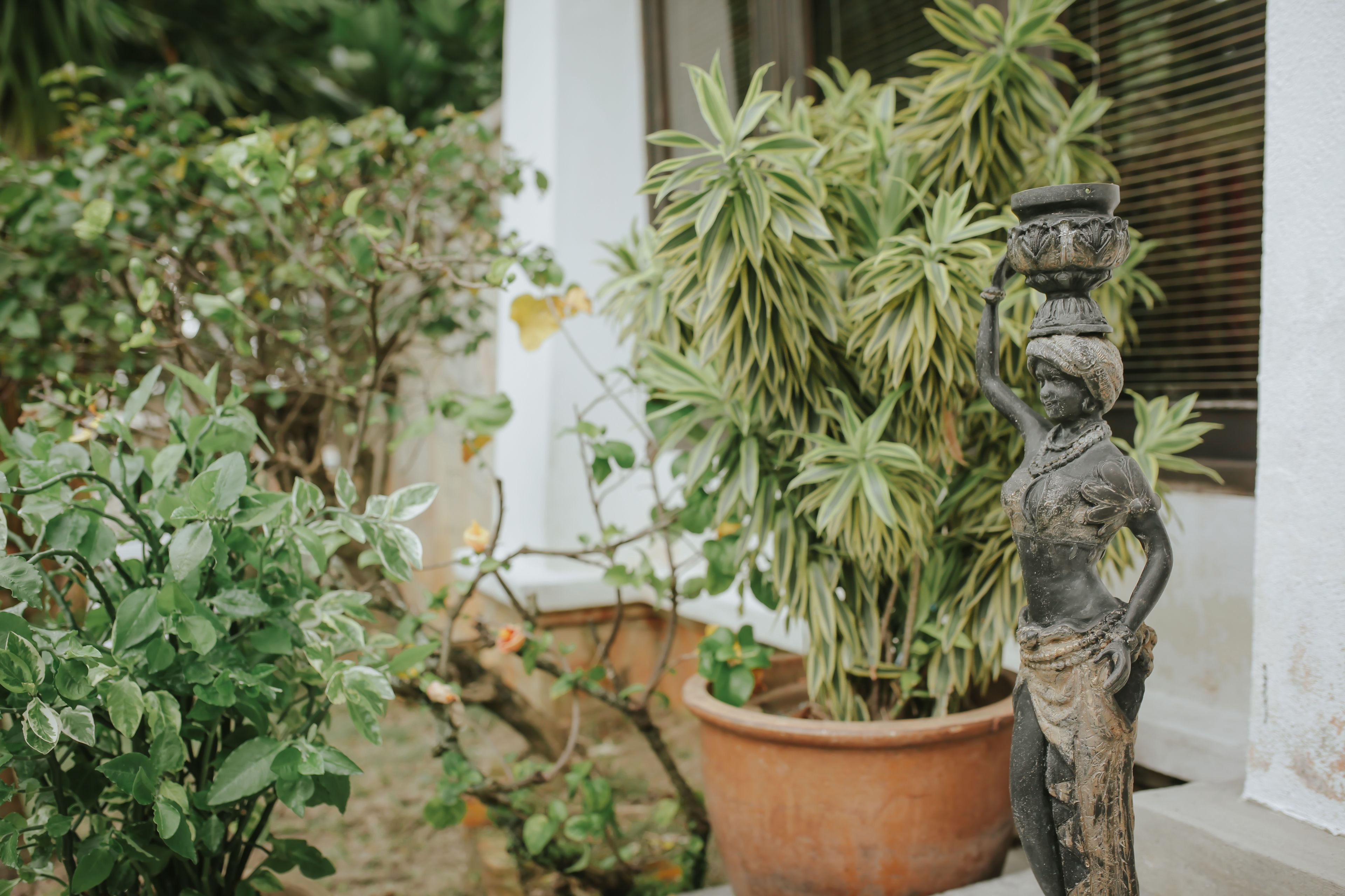 A garden with potted plants and a statue.