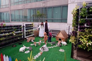 An indoor garden with artificial grass, a rabbit house, and various potted plants. - Horison Ultima Bekasi (Bekasi)