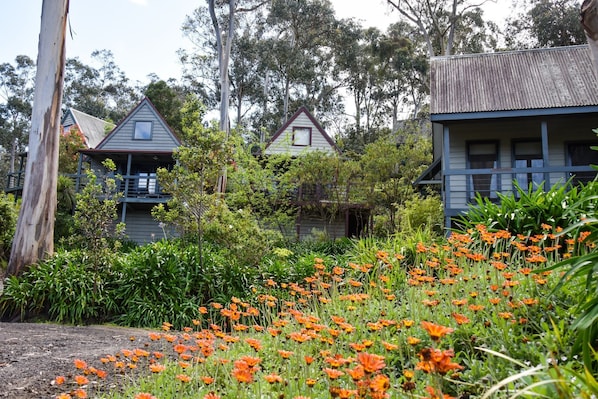 A rural setting with two wooden houses surrounded by lush greenery and orange flowers. - Great Ocean Road Cottages (Lorne)