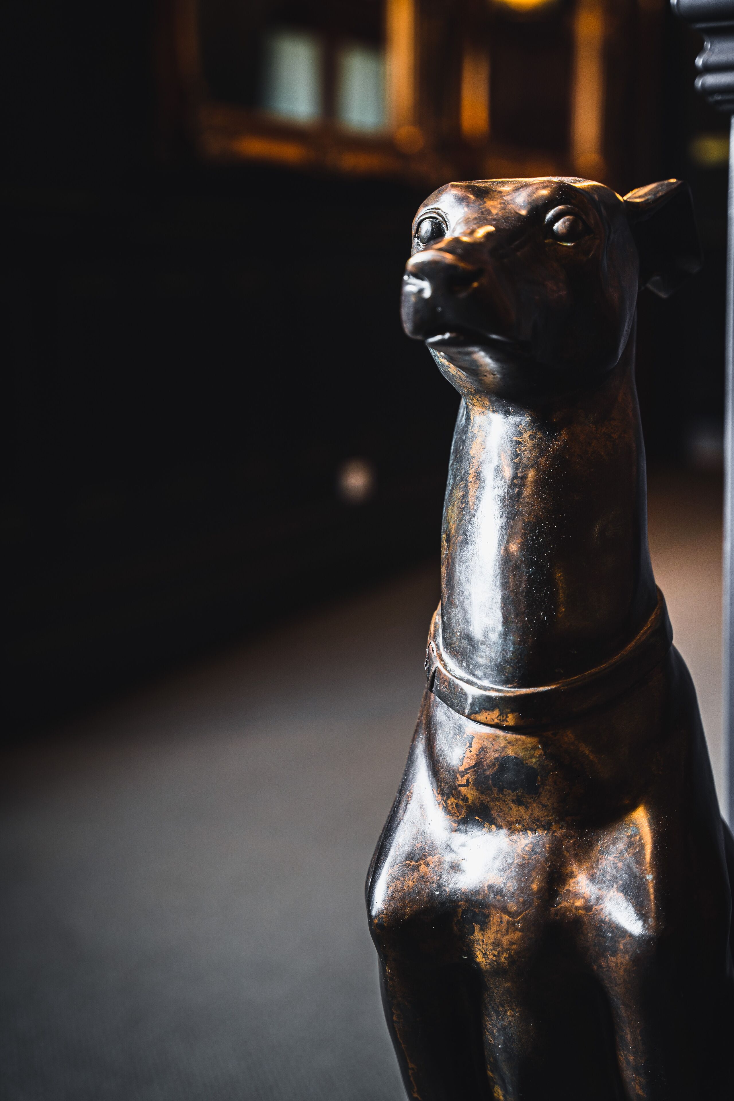 Una estatua de bronce de un perro con superficie brillante, ubicada en el interior y con un fondo desenfocado.