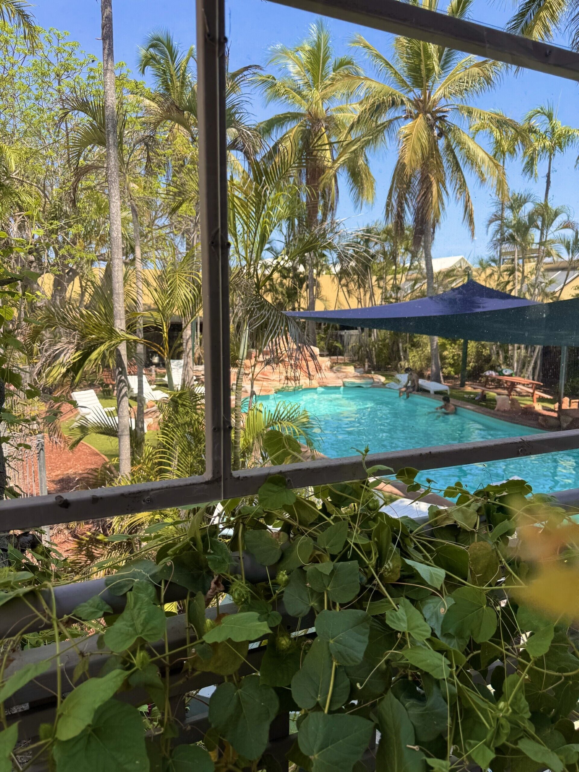 A pool area with palm trees and a view of a building in the background.